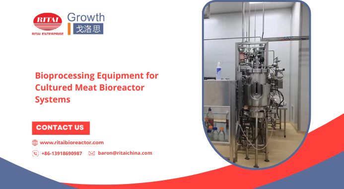 Bioprocessing Equipment