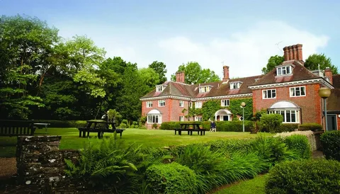 How Dulwich Hill Early Learning Centres Support Cognitive Growth