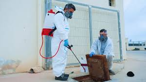 Professional Fumigation Services in Lahore – Complete Guide for Safe & Hygienic Living