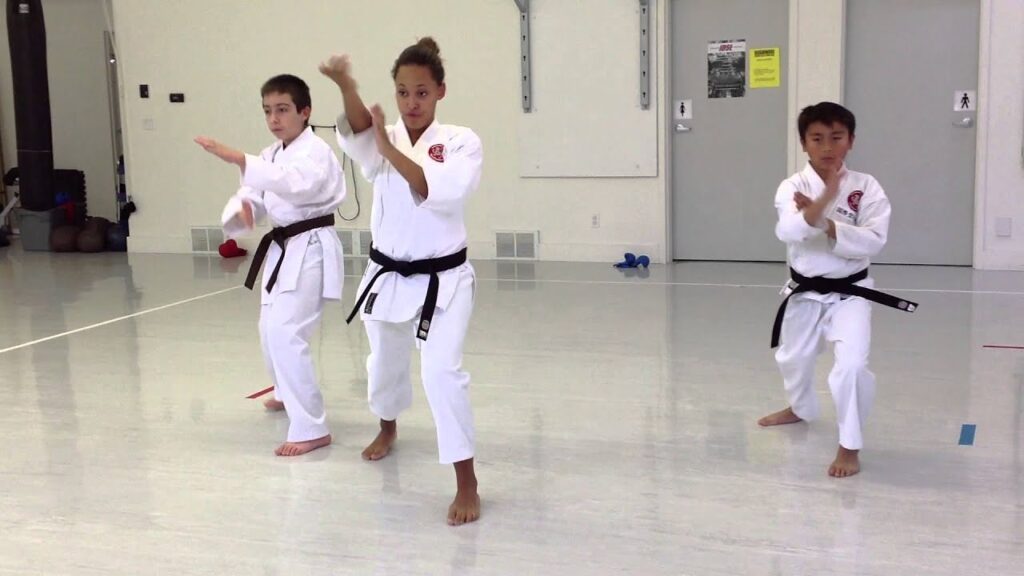Shotokan Karate Training Dubai