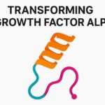 Transforming Growth Factor Alpha (TGF-α) Manufacturing Plant Project Report
