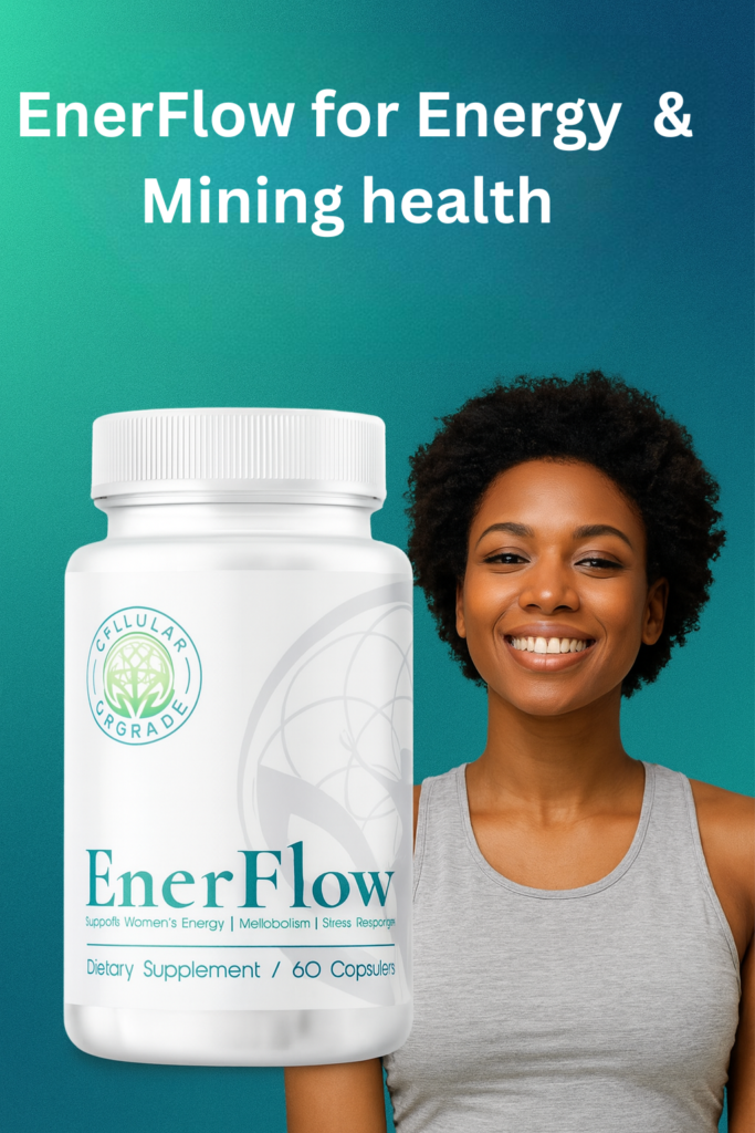 EnerFlow