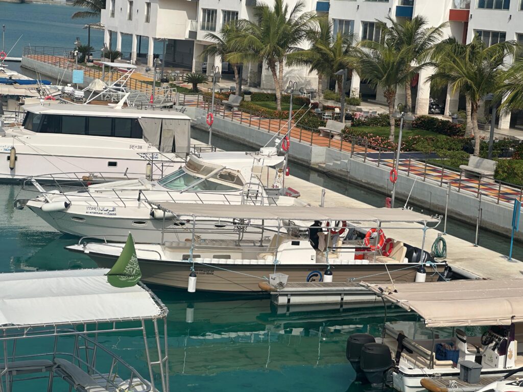 Discover the Hidden Underwater Wonders of the Red Sea