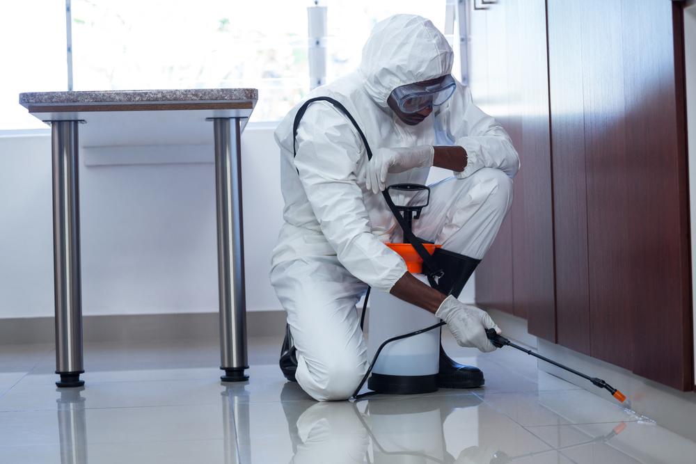 Professional Fumigation Services Near Me – Safe, Reliable & Long-Lasting Pest Control Solutions