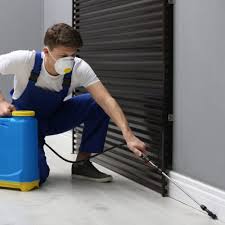 Pest Control Services in Lahore